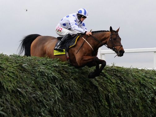 Hello Bud: Becher Chase hopeful