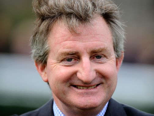 John Ferguson's New Year's Eve is backed for victory.