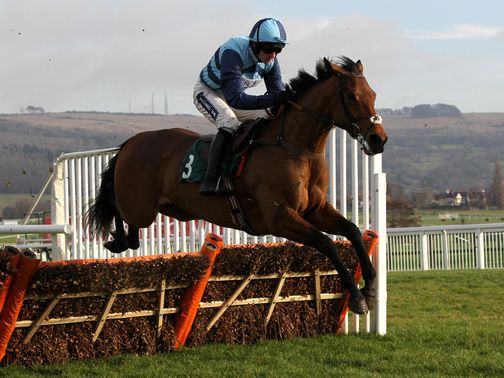 Pearl Swan: Being aimed at the Betfair Hurdle