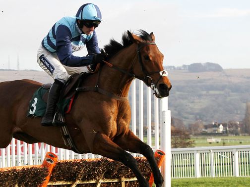 Pearl Swan: Worth a bet at Newbury