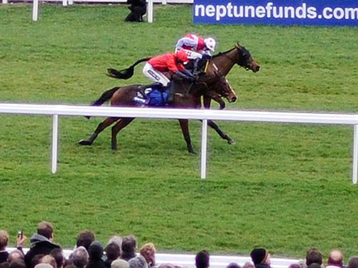 Houblon Des Obeaux: Made it two out of two over fences at Wincanton