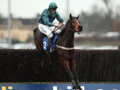 Fruity O'Rooney: Worth a bet at 16s