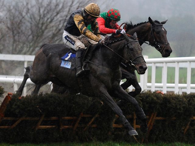 Boston Bob: Runs at Navan on Sunday