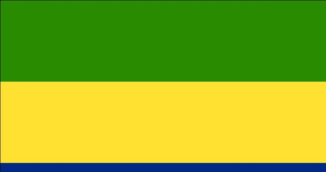 Gabon earned automatic entry to the 2012 Africa Cup of Nations as co-hosts of the tournament alongside Equatorial Guinea.