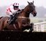 Flemenstar (IRE)