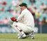 Brad Haddin