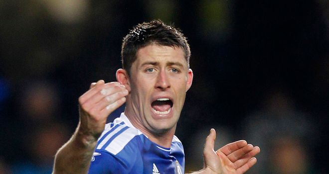Gary Cahill: Chelsea defender only on the bench against Everton due to illness