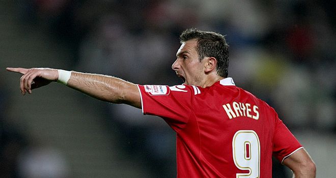 Paul Hayes: Brings bags of experience to Crawley