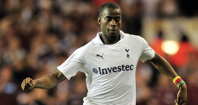 Sebastien Bassong: The latest addition to Chris Hughton's Norwich squad