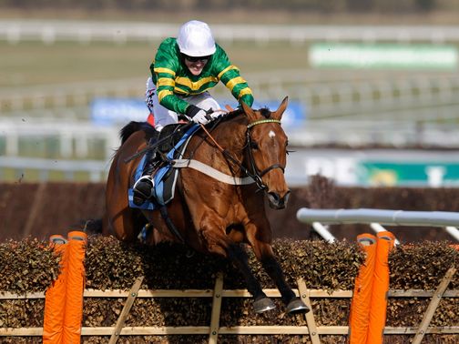 Binocular: Not certain to go to Kempton
