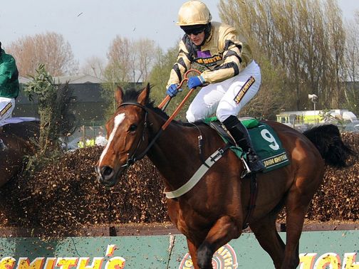 Prince De Beauchene: On trial for the Grand National