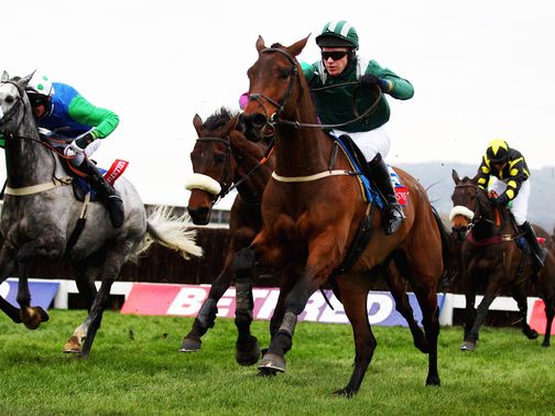 Salsify: Landed the odds at Stratford