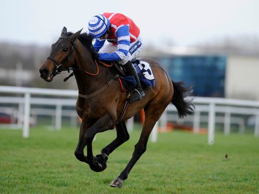 Aerial: Backed to win the Paddy Power Gold Cup