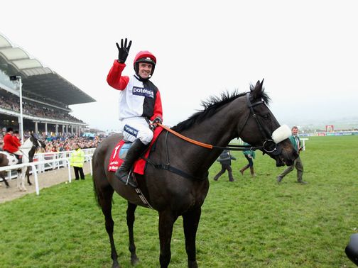Big Buck's: Straight to next year's Cheltenham Festival