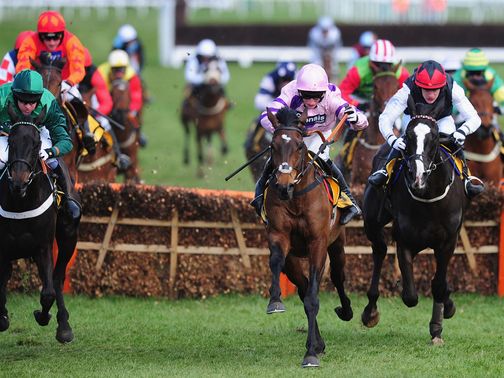 Zarkandar: Won the Kingwell Hurdle at Wincanton