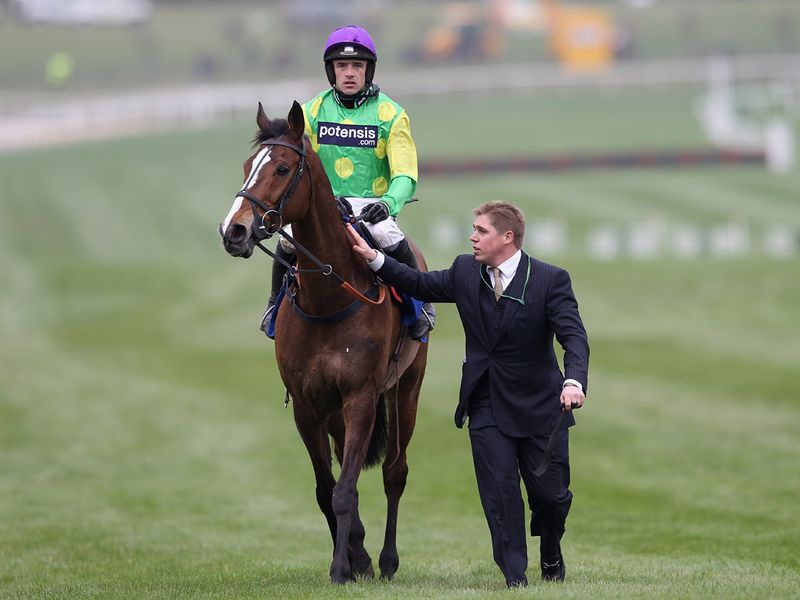 His final race turns out to be at the 2012 Cheltenham Gold Cup, but he was pulled up and Synchronised went on to take victory.