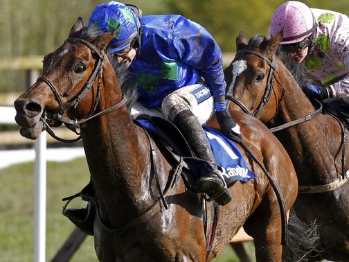 Hurricane Fly: Champion favourite