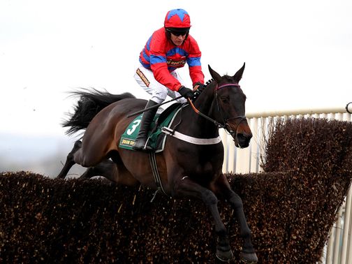 Sprinter Sacre: Faces stiff opposition from Sanctuaire