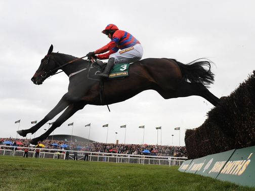 Sprinter Sacre goes for glory in the Tingle Creek.&nbsp;
