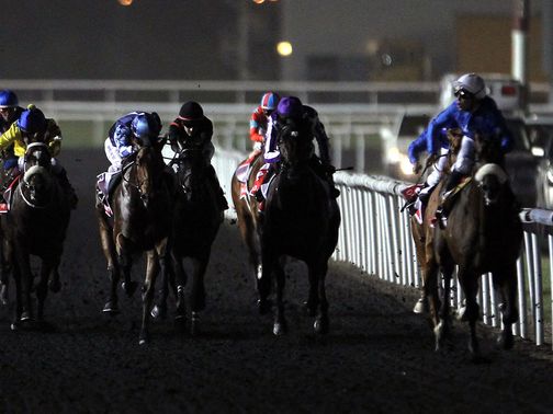 Meydan hosted the UAE 2000 Guineas