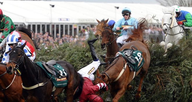 The Grand National won't feature Organisedconfusion