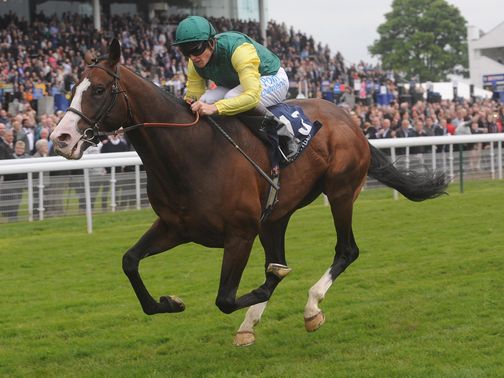 Media Hype can win at Kempton