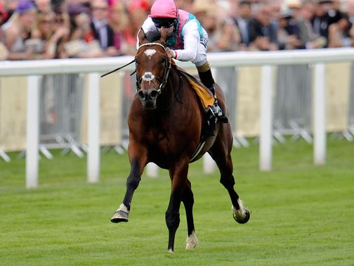 Frankel: Tops the International entry