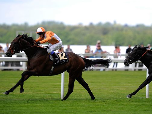 Most Improved: Joins Aidan O'Brien