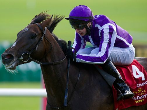 Camelot: A hot favourite for the St Leger
