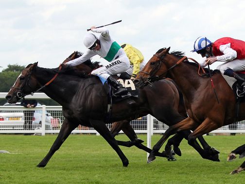 Black Spirit: Selected to win the DFS Handicap at Doncaster
