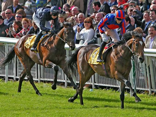 Cristoforo Colombo: Will be ridden by Joseph O'Brien