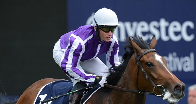 Was: Could run in the Pretty Polly