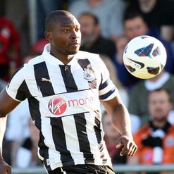 Shola Ameobi