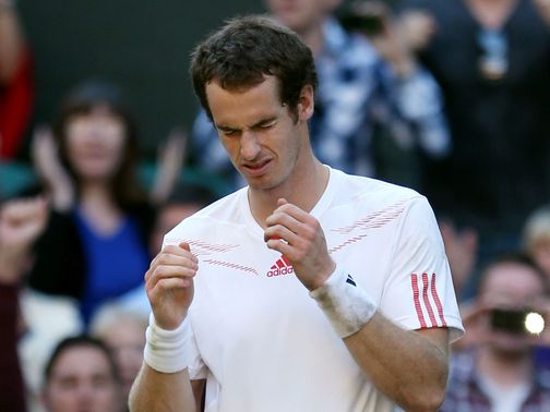 Murray: Now faces Federer in the final