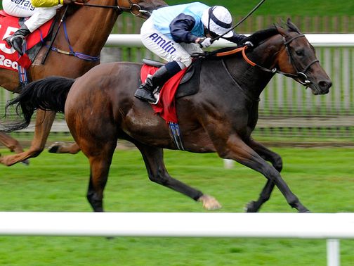 Bonnie Brae thrived in the soft conditions in the Bunbury Cup&nbsp;