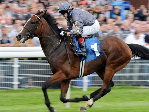 Mount Athos: Looks a well handicapped horse and should act on the track