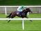Lockinge keys