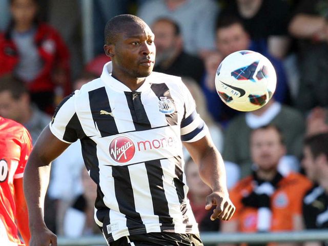 Shola Ameobi