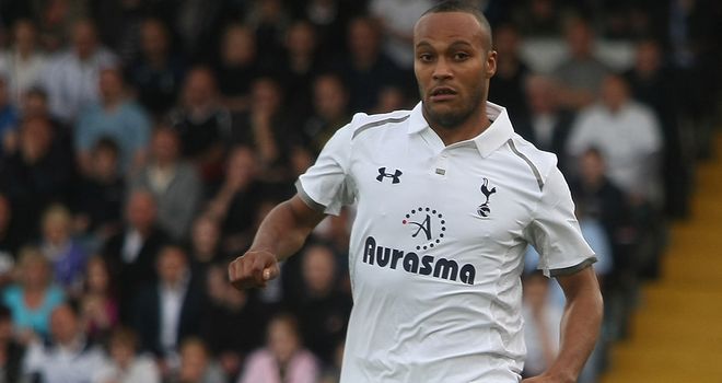 Younes Kaboul: The centre-back missed the draw with West Brom due to his injury