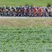The peloton travelled 191km from Limoux to Foix