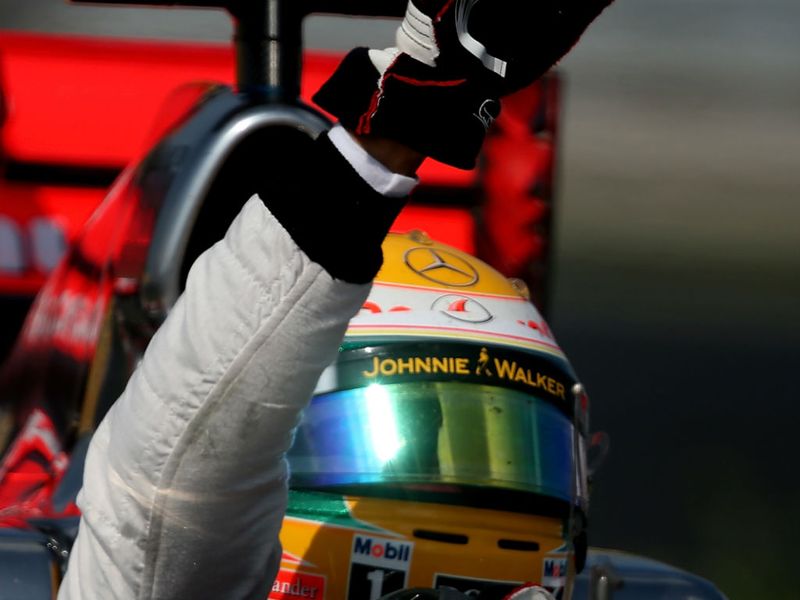 Hamilton celebrates after taking the flag