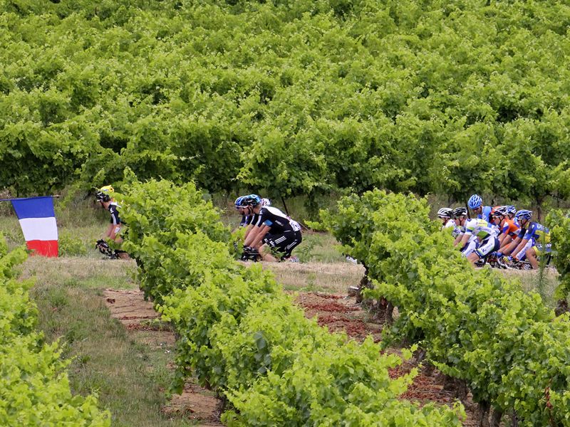 The route passed through the local vineyards