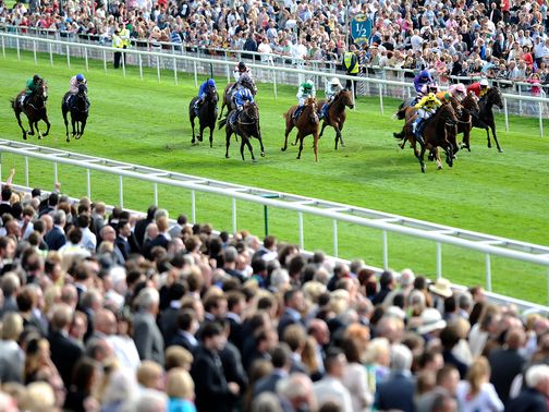 Danadana: Worth a bet at Chester