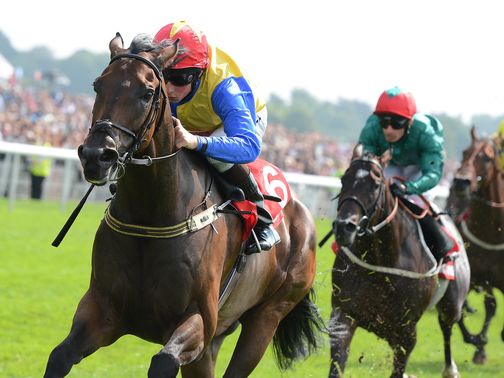 Gordon Lord Byron: Breeders' Cup invite