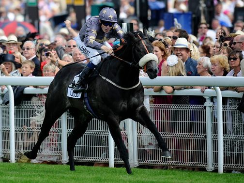 Masamah: Can claim the Beverley Bullet