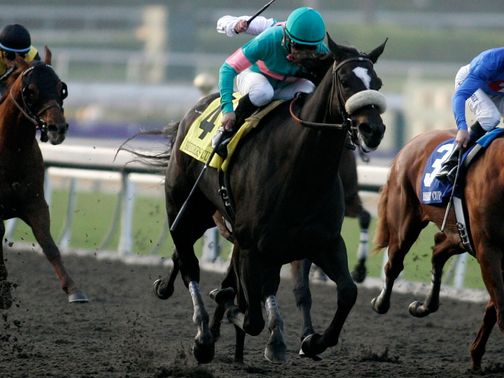 Zenyatta: Fans came out at Santa Anita