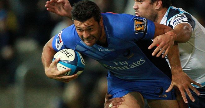 Cameron Shepherd: had been due to move to Franklin's Gardens on a three-year deal