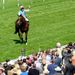 Tom Queally waves to the crowd after Frankel's win