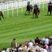 Frankel comes clear of the field in the Sussex Stakes