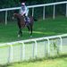 In splendid isolation, Frankel is simply the best
